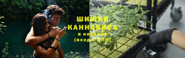 ALPHA-PVP Горнозаводск