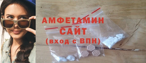 шишки Горняк