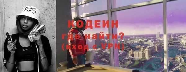 шишки Горняк