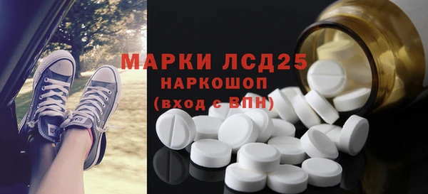шишки Горняк