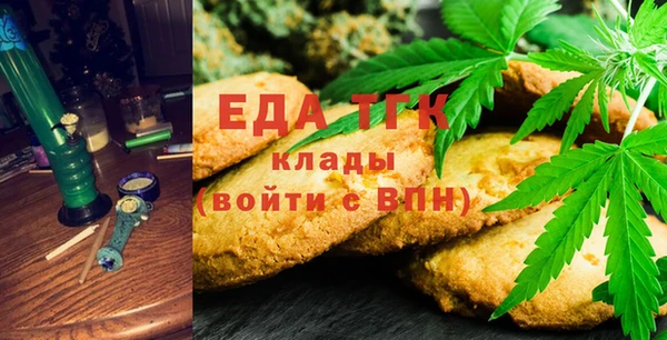 шишки Горняк
