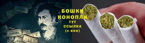 шишки Горняк