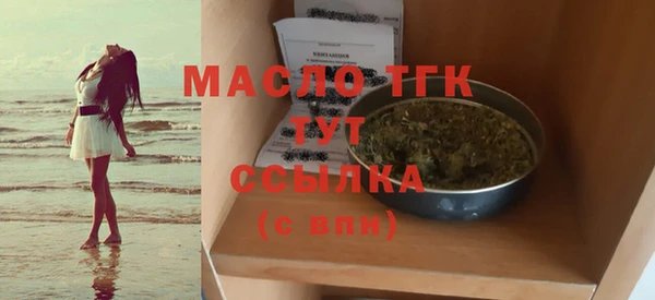 шишки Горняк