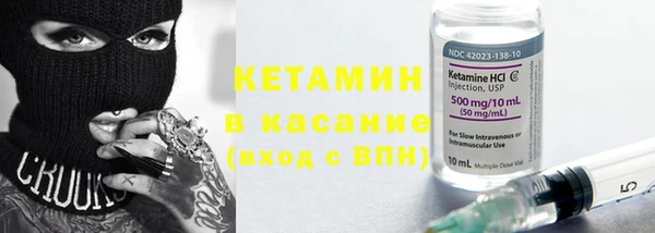 шишки Горняк