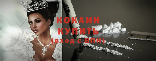 шишки Горняк