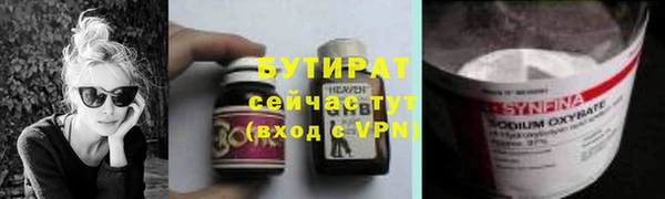 шишки Горняк