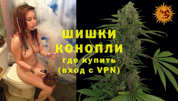 шишки Горняк