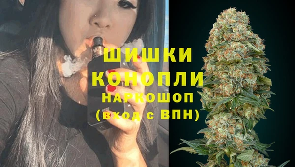 шишки Горняк