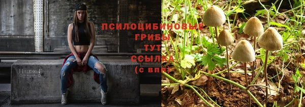 ALPHA-PVP Горнозаводск