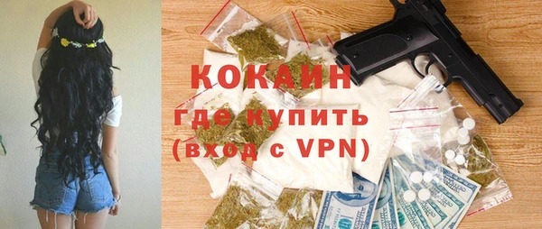 шишки Горняк