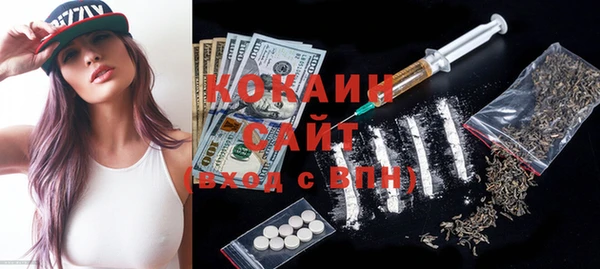 шишки Горняк