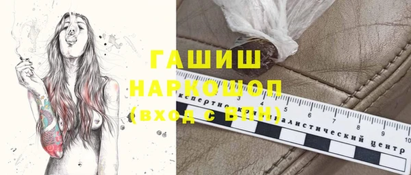 шишки Горняк