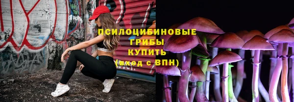 ALPHA-PVP Горнозаводск