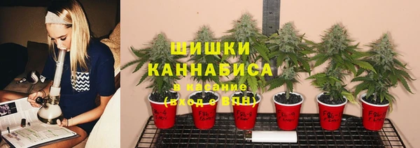 ECSTASY Горно-Алтайск