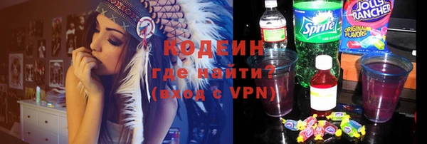 шишки Горняк