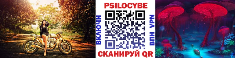 MEGA зеркало  Пушкино  Псилоцибиновые грибы MAGIC MUSHROOMS 