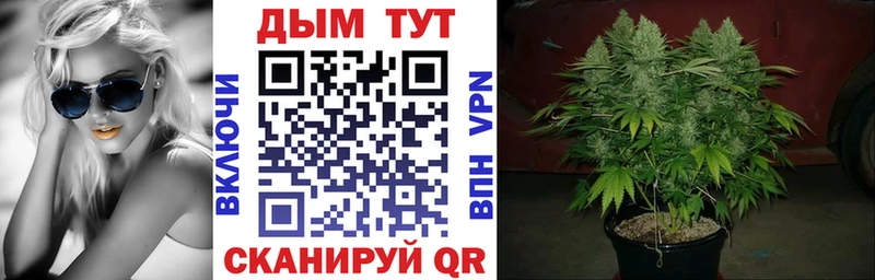 Бошки Шишки Amnesia  где купить наркоту  blacksprut зеркало  Пушкино 